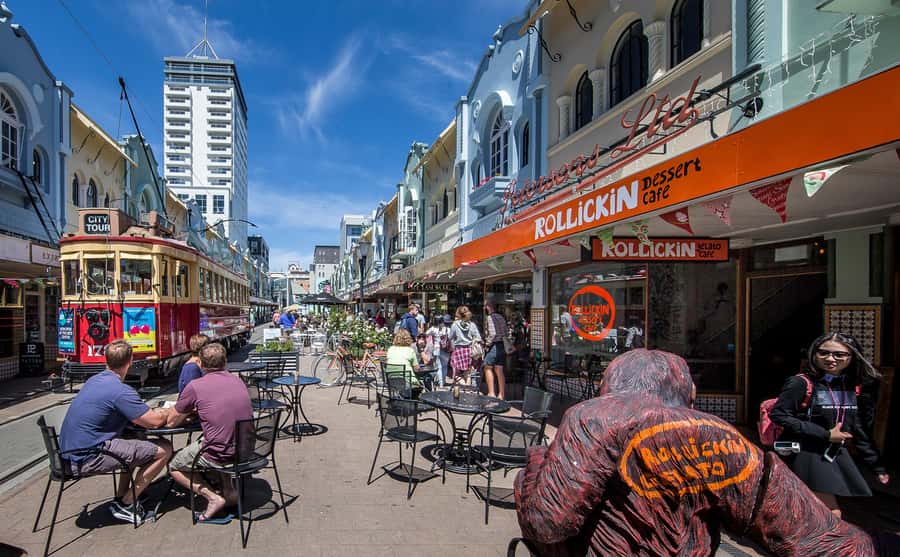 Lyttelton Shore Excursion: Christchurch Highlights & Punting - Price and value: what you’re really paying for at $178