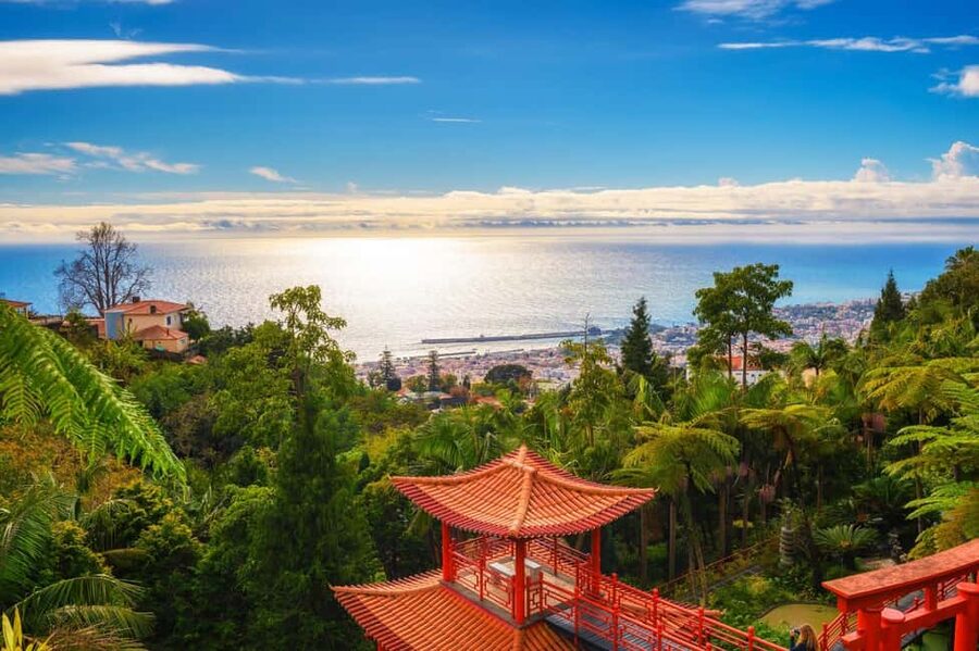 Madeira: Private Tour for Cruise Ship Passengers - How the driver actually builds your itinerary