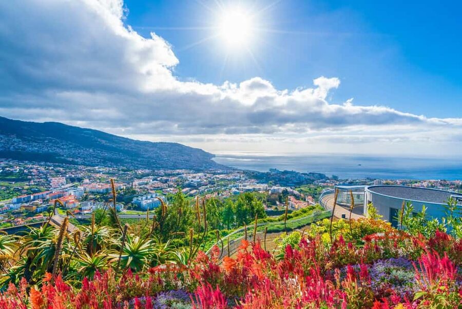 Madeira: Private Tour for Cruise Ship Passengers - Monte and Eira do Serrado: where you trade speed for perspective