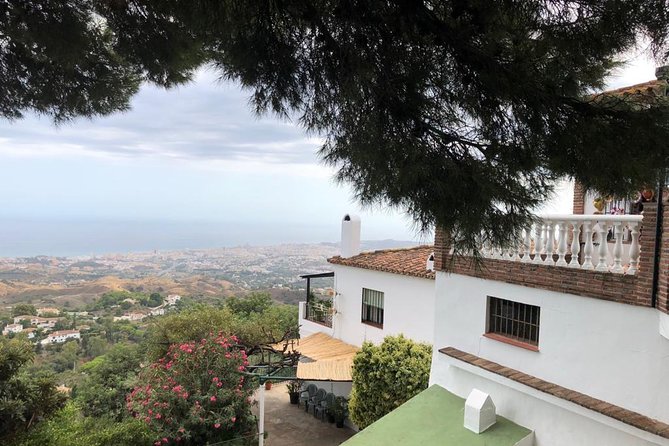 Malaga private Shore Excursion: Malaga Highlights & Mijas White Washed Village - Alcazaba in 30 minutes: Moorish patios, pools, and the Granada connection