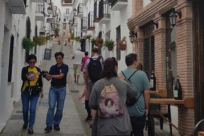Malaga private Shore Excursion: Malaga Highlights & Mijas White Washed Village - Malaga Cathedral and the unfinished bell tower moment