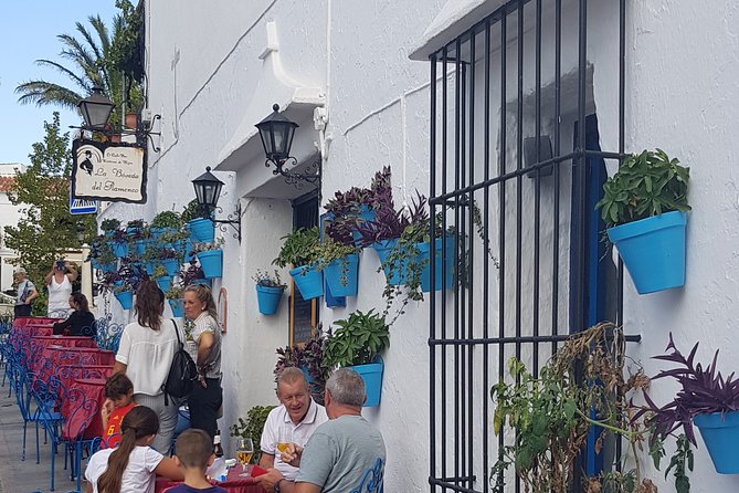 Malaga private Shore Excursion: Malaga Highlights & Mijas White Washed Village - Price, group size, and what $774 really means for value