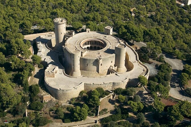 Mallorca Shore Excursion Bellver Castle and Cathedral Private Tour - The Flexibility Factor: What the Best Guides Actually Do