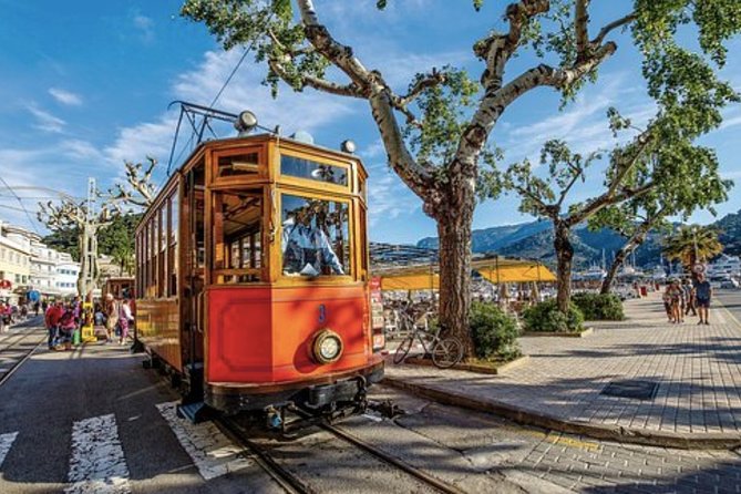 Mallorca Shore Excursion: Exclusive Soller and Valldemosa - Cruise-Pier Convenience: Getting on the road fast in Palma