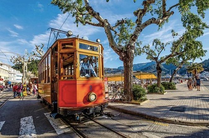 Mallorca Shore Excursion: Exclusive Soller and Valldemosa - Should you book this shore excursion?