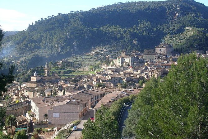 Mallorca Shore Excursion Highlights Private Tour including Valldemossa - Skip-the-Line Cathedral Time at Cathedral de Mallorca