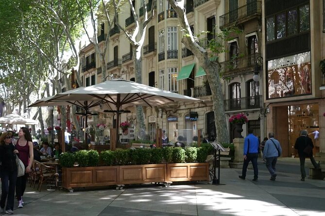 Mallorca Shore Excursion Highlights Private Tour including Valldemossa - Should You Book This Valldemossa + Palma Shore Excursion?