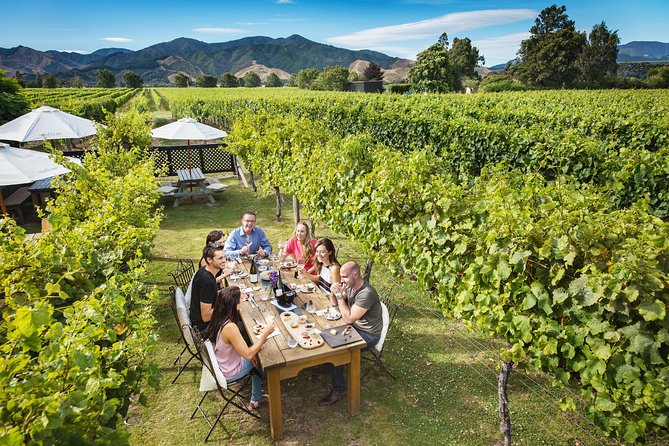 Marlborough Wine Tour - Picton Cruise Ship Shore Excursion Tour - Price and Value: Is $176.86 a Good Deal?