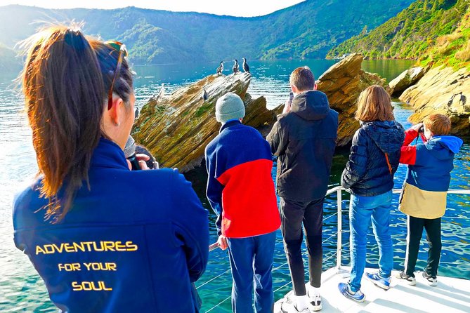 Marlborough Wine Tour - Picton Cruise Ship Shore Excursion Tour - How to Get the Most From Your Tastings