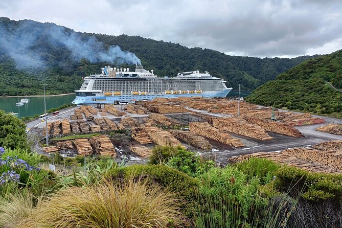 Marlborough Wine Tour - Picton Cruise Ship Shore Excursion Tour - Getting There Comfortably: Transport and the Host Factor