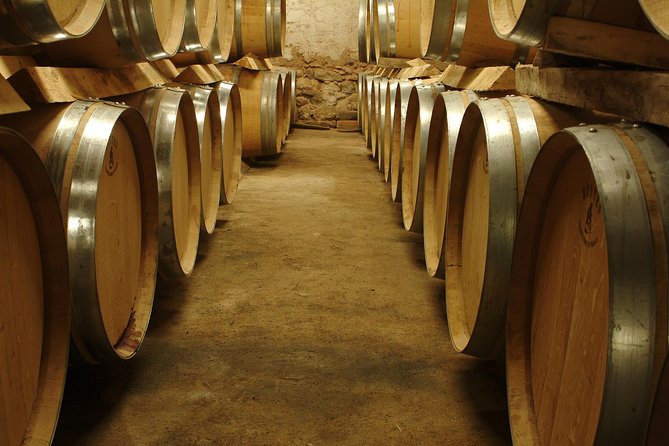 Marseille Shore Excursion - Full Day Wine Tour in Provence - Key highlights you’ll feel on the day
