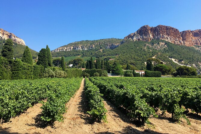 Marseille Shore Excursion - Full Day Wine Tour in Provence - From Marseille Cruise Terminal to Provence in a Small A/C Van