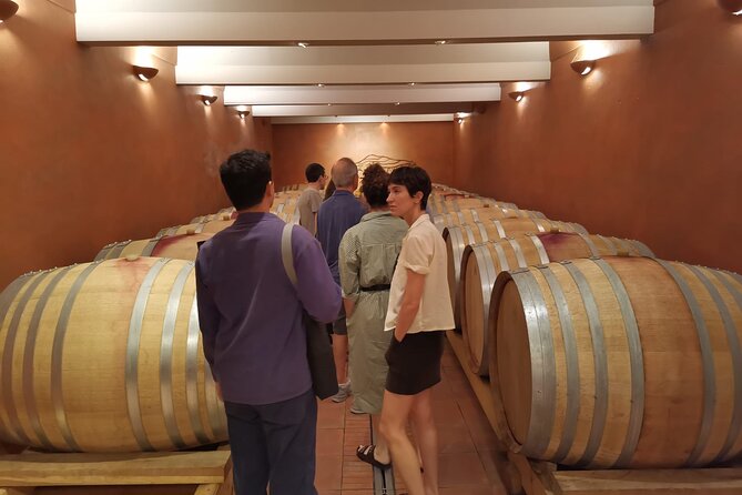 Marseille Shore Excursion - Full Day Wine Tour in Provence - Cassis: Port Town Vibes and Mediterranean Views