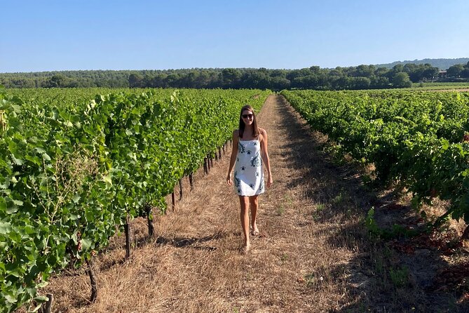 Marseille Shore Excursion - Full Day Wine Tour in Provence - Price and Value: Why $203 Can Make Sense for a Port Day