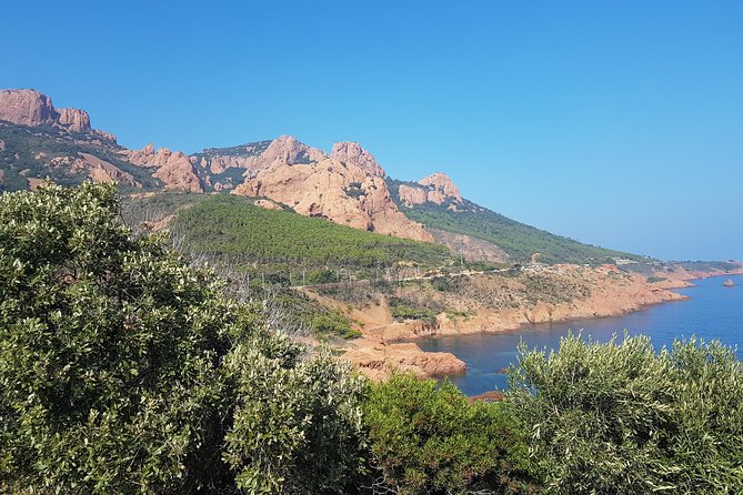 MARSEILLE Shore Excursion : Taste of Provence Aix and Cassis - Getting your bearings in Aix at Cours Mirabeau