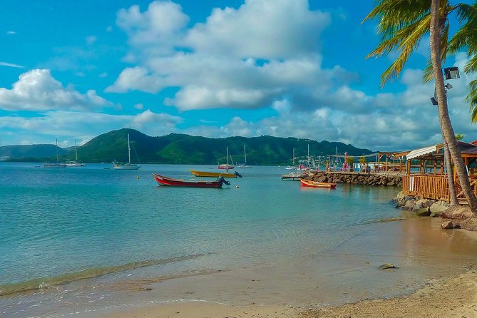Martinique Shore Excursion - Authentic Tour of Southern Martinique - Key Highlights You’ll Feel Immediately