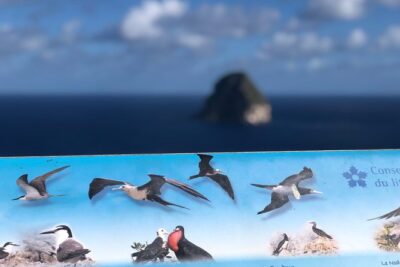Martinique Shore Excursion - Authentic Tour of Southern Martinique - Small Group Size: Why 18 or Fewer Changes the Tour