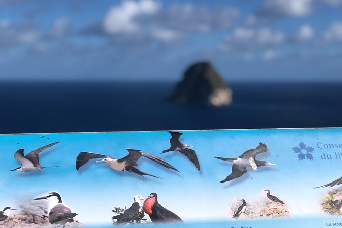 Martinique Shore Excursion - Authentic Tour of Southern Martinique - Small Group Size: Why 18 or Fewer Changes the Tour