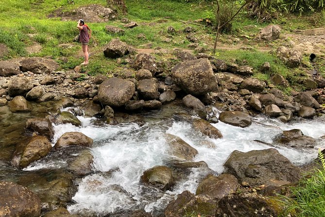 Martinique Shore Excursion - Unmissable Martinique North tour - Price and Value: What You’re Paying For at $82.34