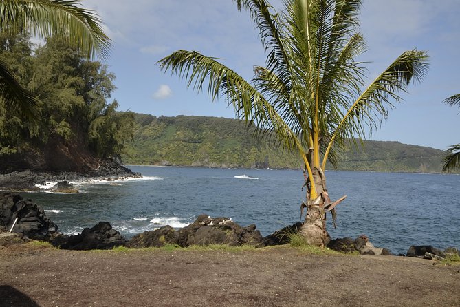 Maui Shore Excursions : Road to Hana With Pickup & Lunch - Ho‘okipa Beach Park: wind, sea, and a good first photo stop
