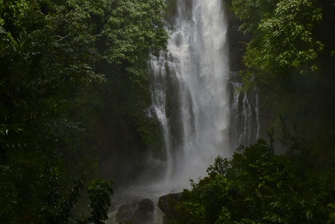Maui Shore Excursions : Road to Hana With Pickup & Lunch - Pua‘a Ka‘a State Park: two waterfalls and an easy break