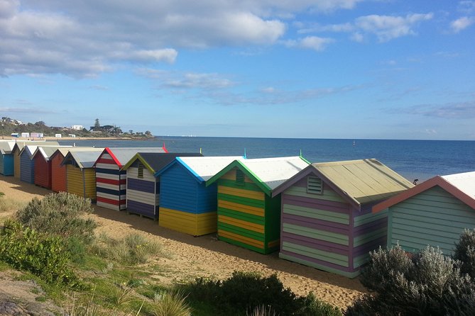 Melbourne Shore Excursion: Private City Tour 5 Hours - What to Expect at Each Stage (Without the Guesswork)