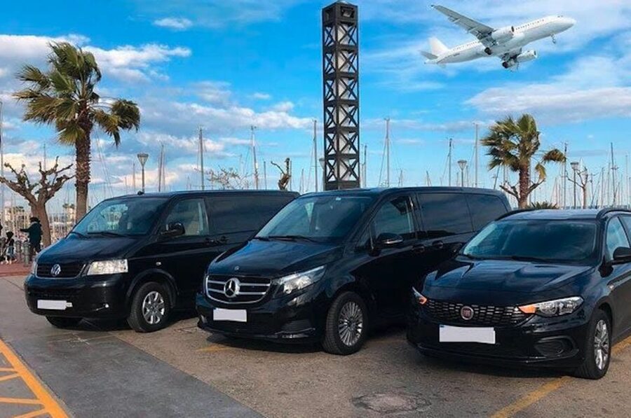 Miami: Guided Tour with Transfer from Cruise Port to Airport - From Port of Miami to Airport: a tight 5-hour day that doesn’t feel rushed