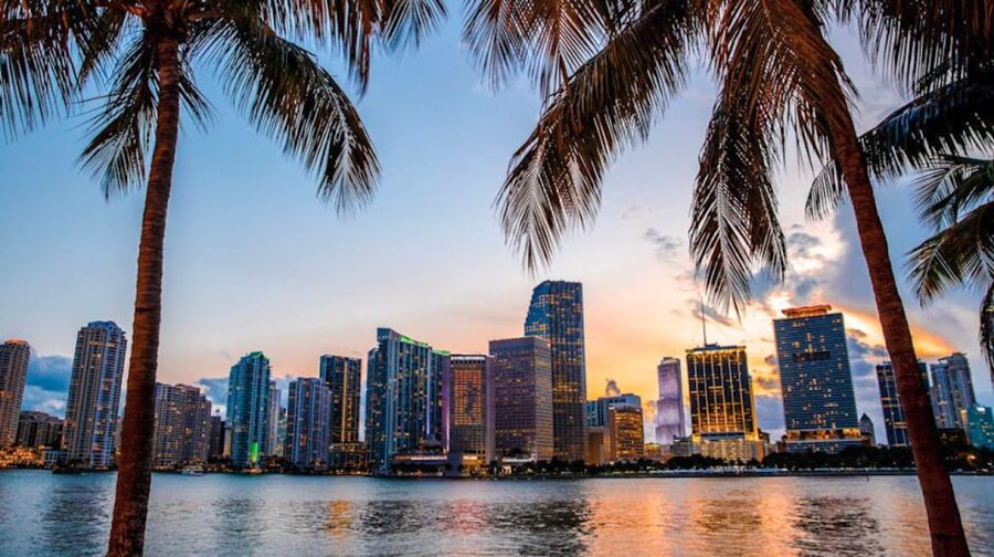 Miami: Guided Tour with Transfer from Cruise Port to Airport - Should you book this Miami port-to-airport tour?
