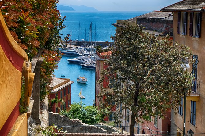 Monterosso and Portofino Shore Excursion from La Spezia - What You Get in the Vehicle: WiFi, Air-Conditioning, and Driver Commentary