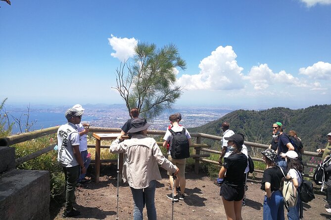Mount Vesuvius Shore Tour, Pompeii & Winery Vesuvius Winery - Vesuvius National Park and the Crater Visit: Great Views, Ticket Reality