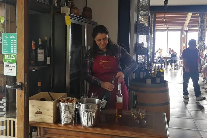 Mount Vesuvius Shore Tour, Pompeii & Winery Vesuvius Winery - Included Perks vs. Extra Costs: Does $276.67 Feel Fair?