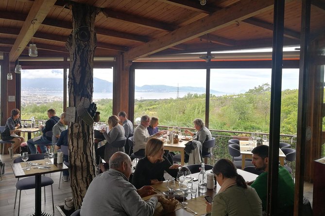 Mount Vesuvius Shore Tour, Pompeii & Winery Vesuvius Winery - Trecase and Cantina del Vesuvio: Winery Tour, Tastings, and a Rome-inspired Meal