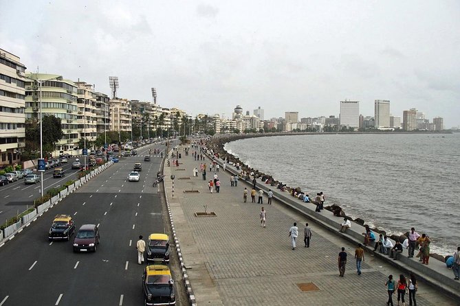 Mumbai Full-Day Shore Excursion - Hanging Gardens on Malabar Hill: a short pause with serious viewpoints