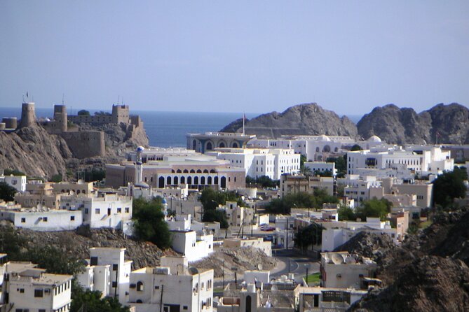 Muscat Shore Excursion: Private City Highlights Tour - Who This Tour Fits Best (and Who Might Prefer More Time)