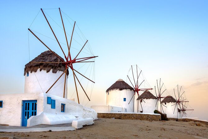 Mykonos Shore Excursion: Elia Beach & Town Exploration - Key takeaways before you go