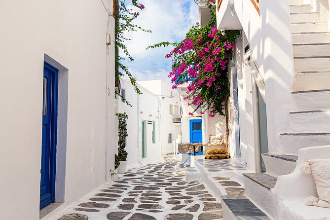 Mykonos Shore Excursion: Elia Beach & Town Exploration - Weather, wind, and pacing: the real-world factors