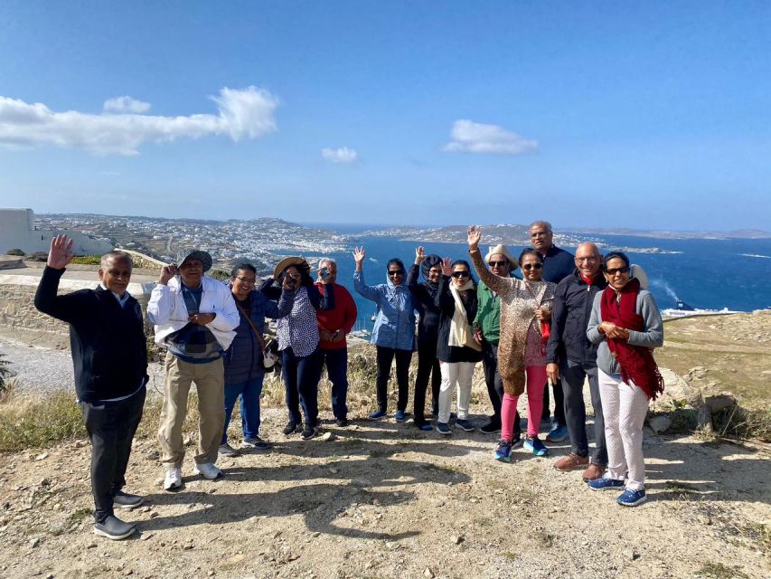 Mykonos: Shore Excursion with Cruise Ship Terminal Pickup - Who Should Book This Shore Excursion (and Who Should Skip It)