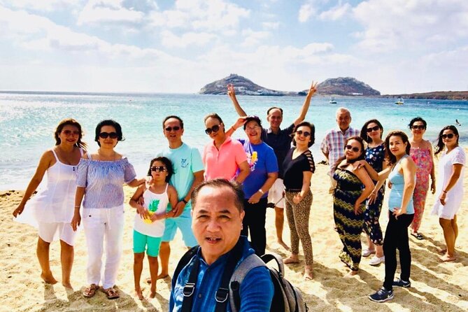 Mykonos Shore Excursion with Pickup from Cruise Ship Terminal - Why this 4-hour Mykonos cruise shore excursion is a good use of limited time