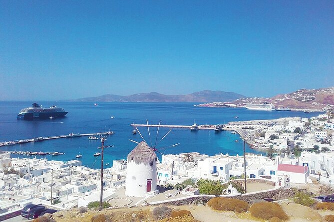 Mykonos Shore Excursion with Pickup from Cruise Ship Terminal - The guides can make or break the pace: Christina, Dora, and Andrea as examples