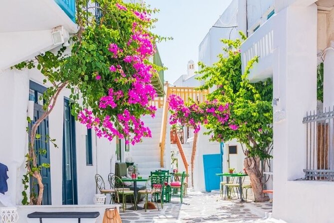 Mykonos Tour from Cruise Port including Little Venice & Windmills - Mykonos Town Hall and the town break near the old port