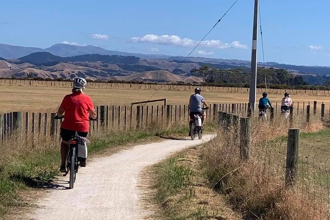 Napier: Cycle to Wineries - Half Day, self-guided - Power and Ride Quality: When E-Bikes Behave Like Bikes