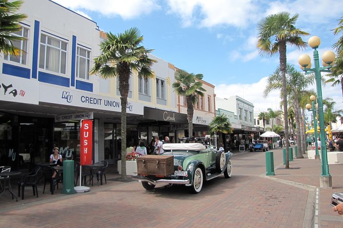 Napier Shore Excursion: City Sights and Hawke's Bay Tour - Art Deco Napier: The Details You’ll Actually Care About