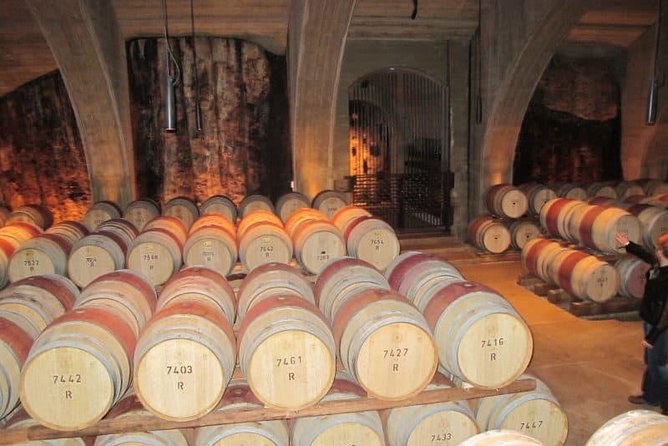 Napier Shore Excursion: Wine & Art Deco Tour - Key Things That Make This Tour Worth Your Time
