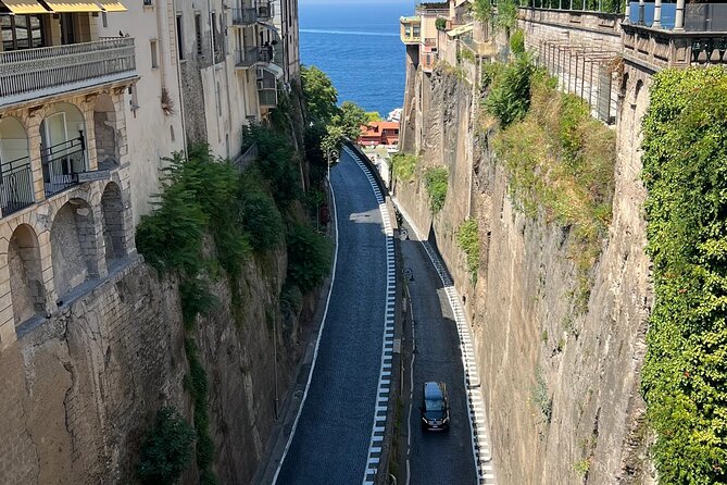 Naples/Salerno Port: Pompeii & Sorrento - Shore Excursion - Pompeii With a Live Guide: Tickets Included, and That Changes Everything