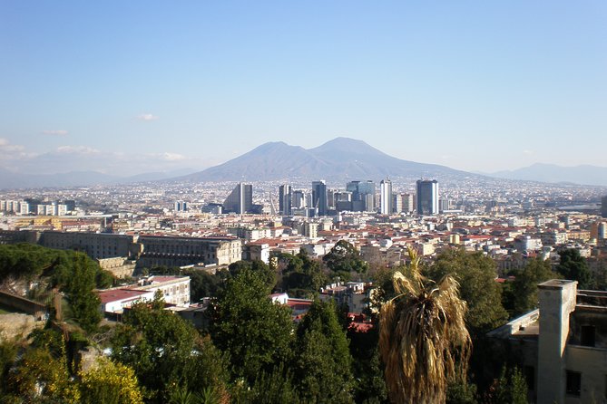 Naples Shore Excursion: Mt Vesuvius Half-Day Trip from Naples - The Lunch Stop That Sets You Up for the Climb