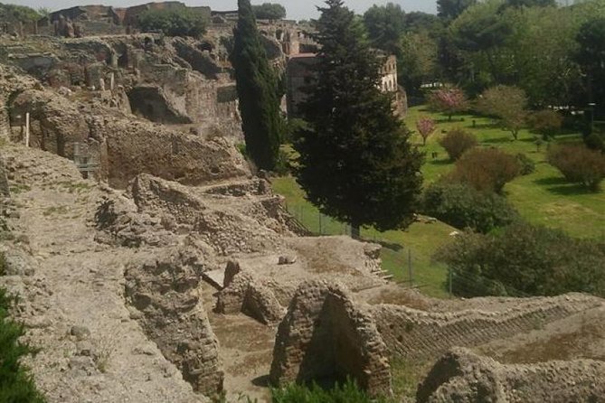 Naples Shore Excursion: Pompeii Half Day Trip from Naples - Transportation from the cruise port: what can feel smooth vs. stressful