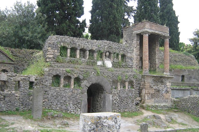 Naples Shore Excursion: Pompeii Half Day Trip from Naples - Who this Pompeii shore excursion is best for