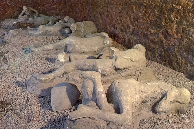 Naples Shore Excursion: Pompeii Independent Half-Day Trip - The 4-hour Pompeii window: spend it like a pro