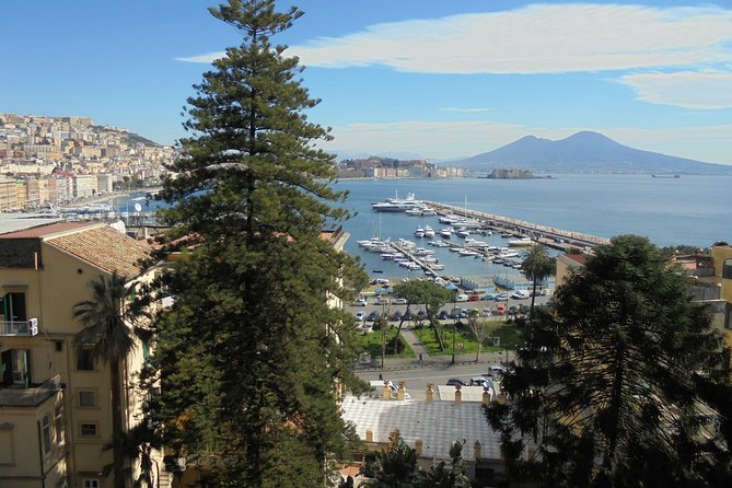 Naples Shore Excursion:Small Group Naples City Sightseeing Tour - Cruise-port pickup and the pace you should expect