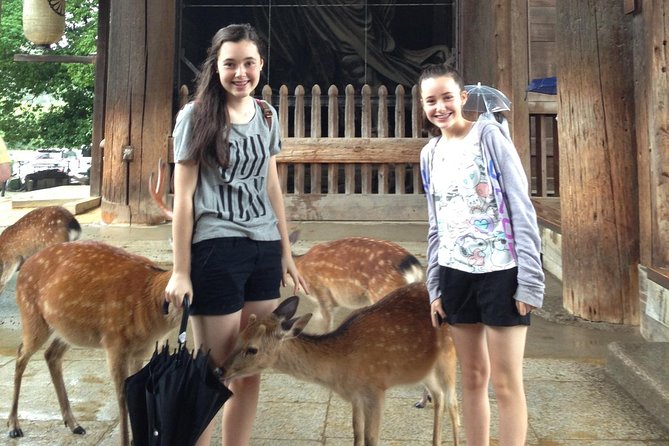 Nara private tour (Shore excursion available from Osaka or Kobe port) - Nara From Osaka or Kobe: Why a Private Day Feels Less Like a Chore